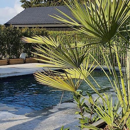 Pine Cottage- 5 Minutes Francorchamps - Charme -Piscine-Calme-Jardin Sart  ภายนอก รูปภาพ