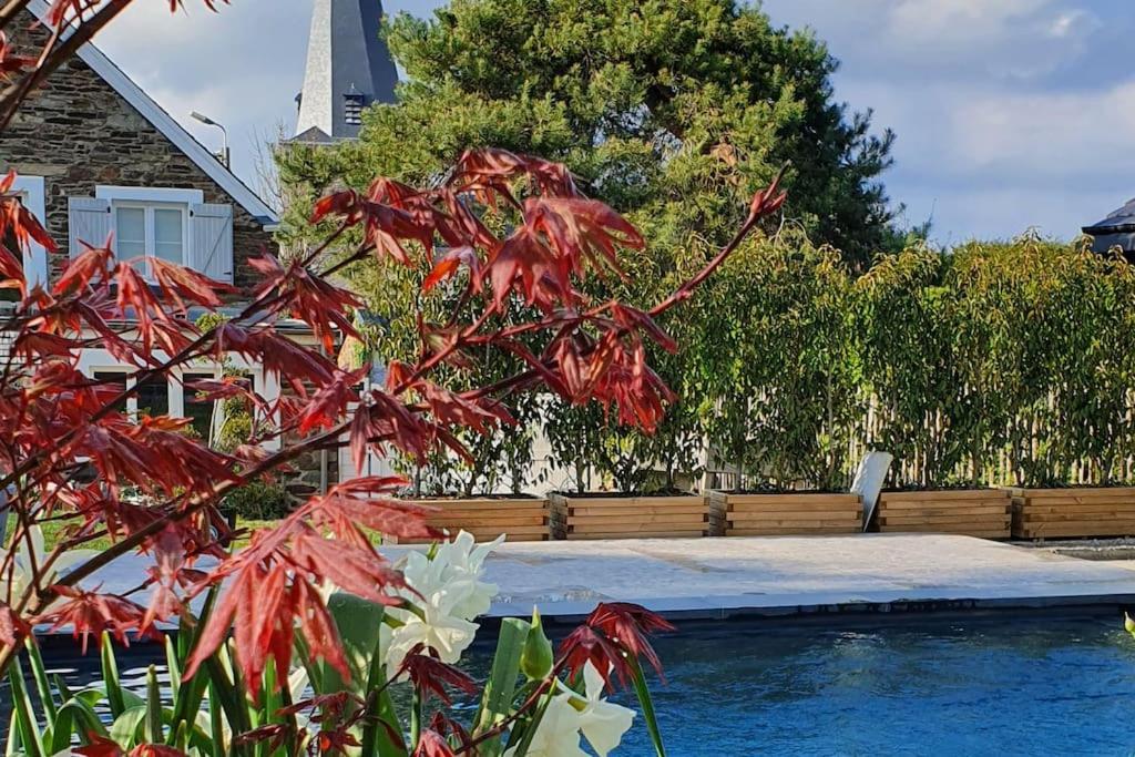 Pine Cottage- 5 Minutes Francorchamps - Charme -Piscine-Calme-Jardin Sart  ภายนอก รูปภาพ