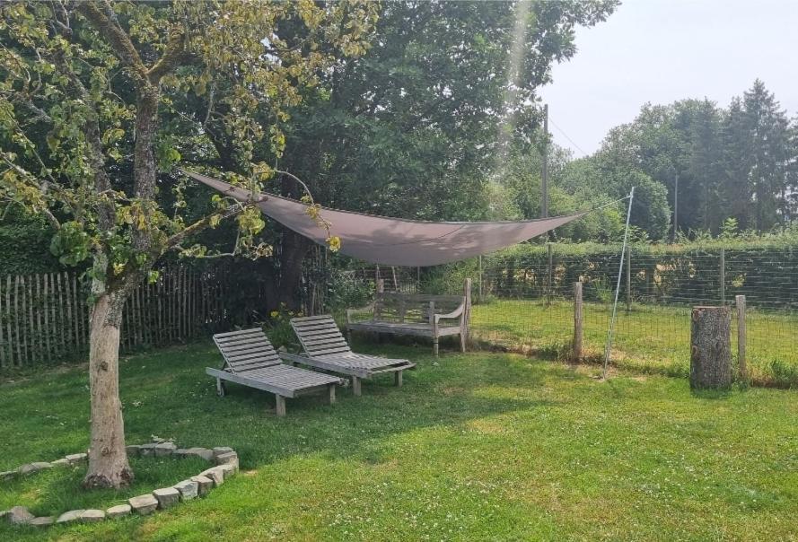 Pine Cottage- 5 Minutes Francorchamps - Charme -Piscine-Calme-Jardin Sart  ภายนอก รูปภาพ